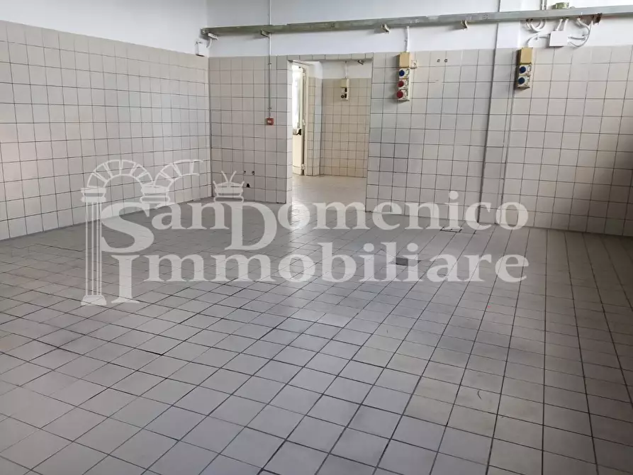 Immagine 2 di Capannone industriale in affitto  a San Giuliano Terme