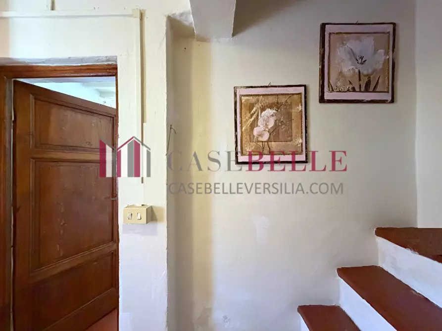 Immagine 13 di Terratetto in vendita  a Camaiore