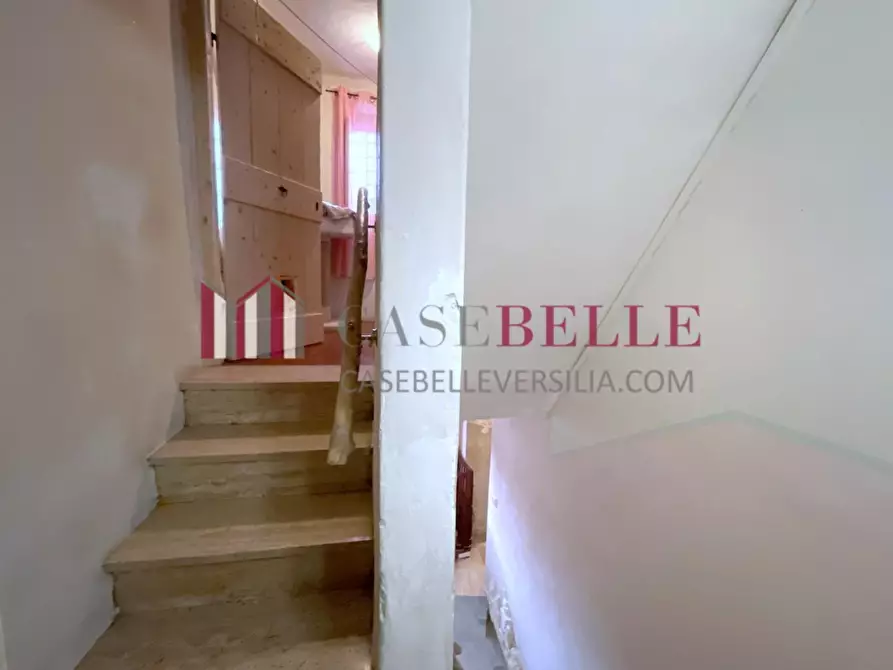 Immagine 12 di Terratetto in vendita  a Camaiore