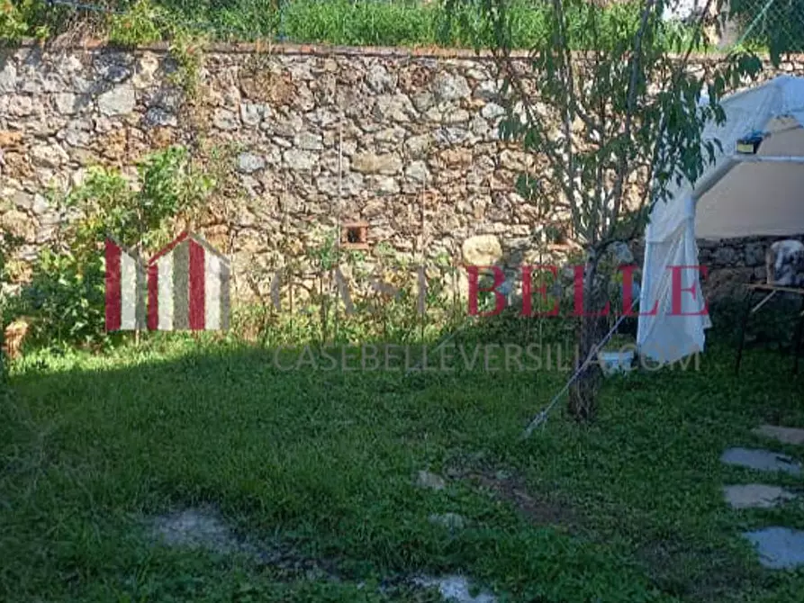 Immagine 33 di Terratetto in vendita  a Camaiore
