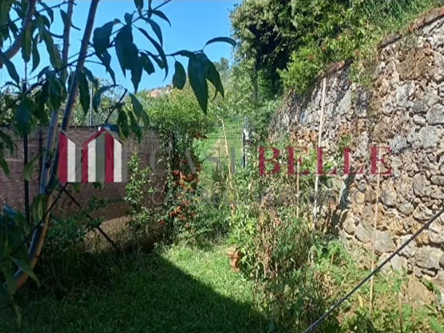 Immagine 31 di Terratetto in vendita  a Camaiore