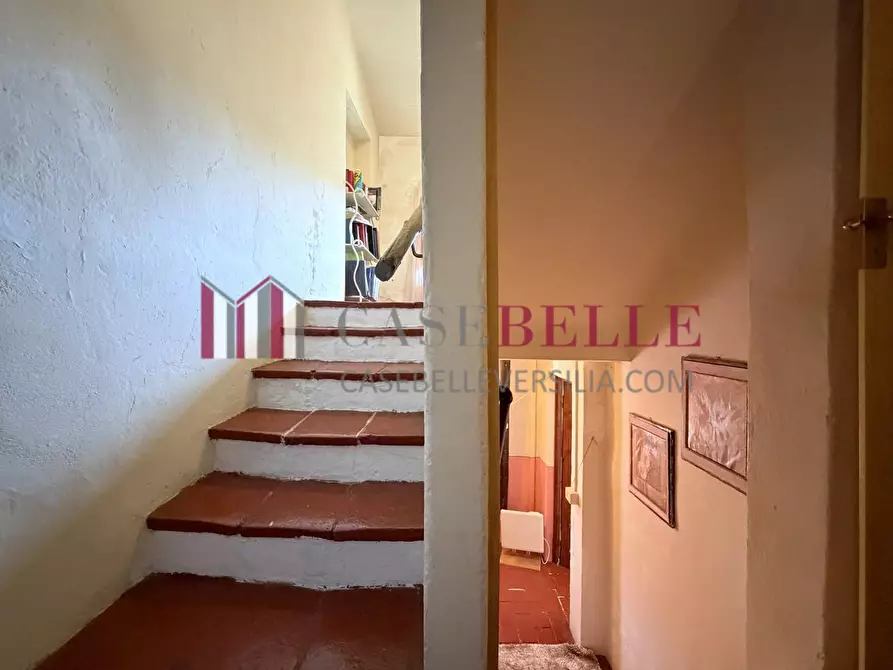 Immagine 19 di Terratetto in vendita  a Camaiore