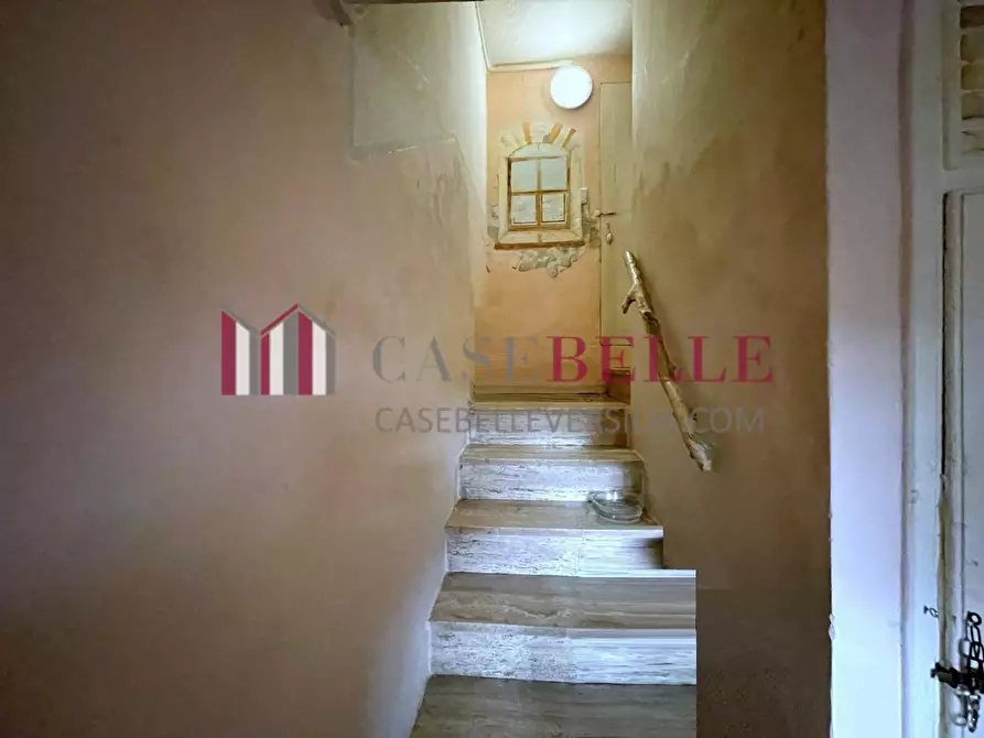 Immagine 6 di Terratetto in vendita  a Camaiore