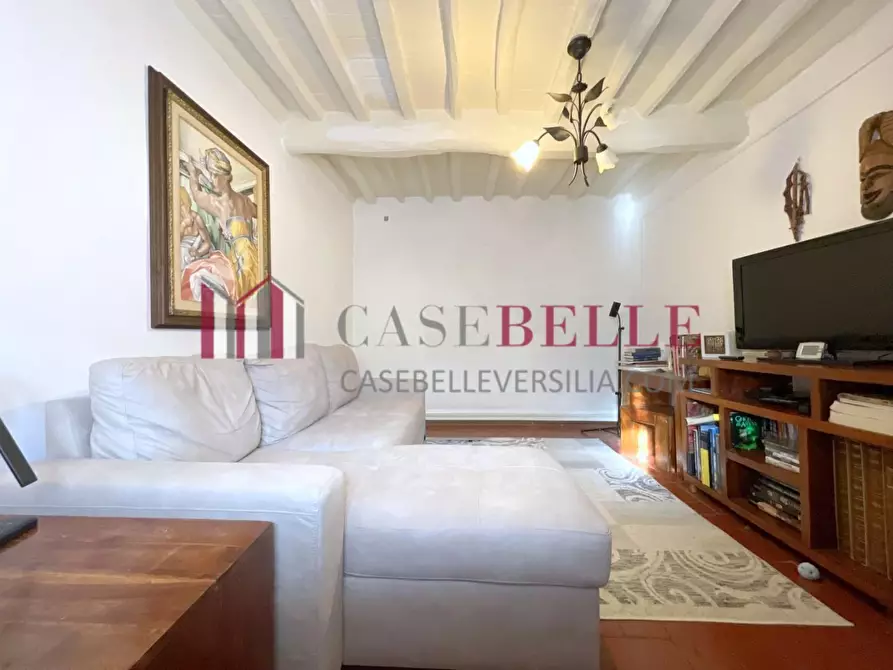 Immagine 15 di Terratetto in vendita  a Camaiore