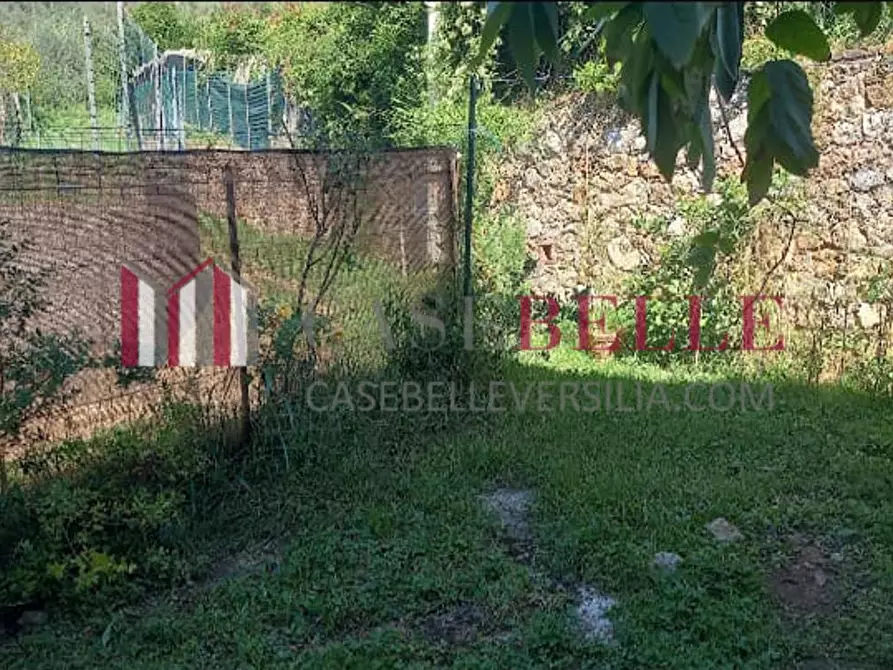 Immagine 32 di Terratetto in vendita  a Camaiore