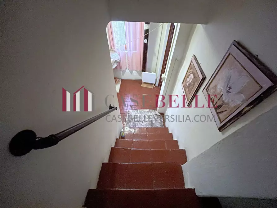 Immagine 30 di Terratetto in vendita  a Camaiore