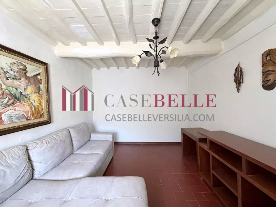 Immagine 15 di Terratetto in vendita  a Camaiore