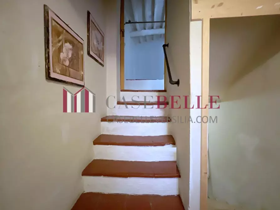 Immagine 19 di Terratetto in vendita  a Camaiore