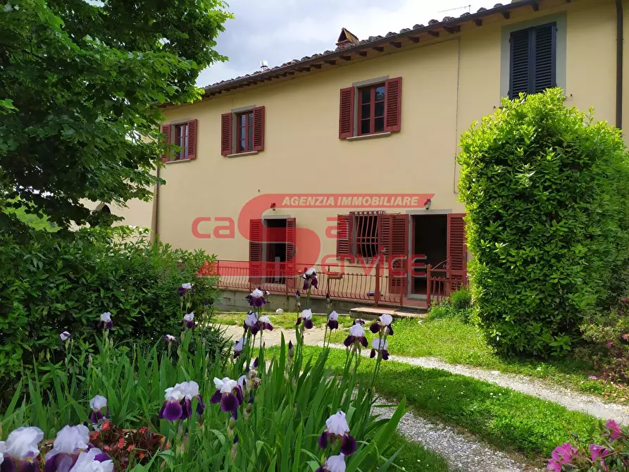 Immagine 1 di Casa colonica in vendita  a Serravalle Pistoiese