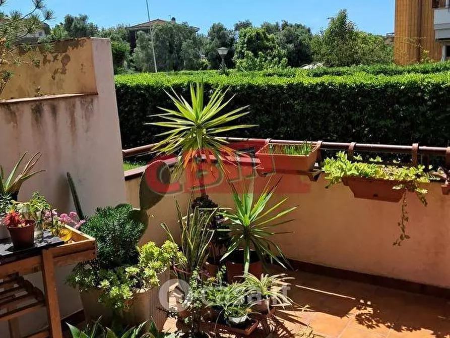 Immagine 1 di Appartamento in vendita  a Livorno