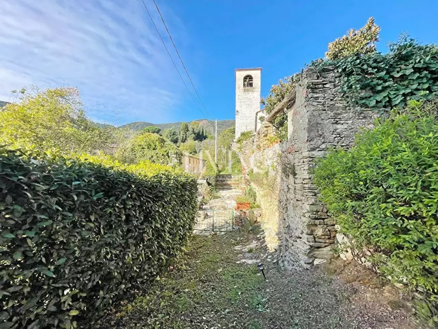 Immagine 41 di Casa colonica in vendita  a Lucca