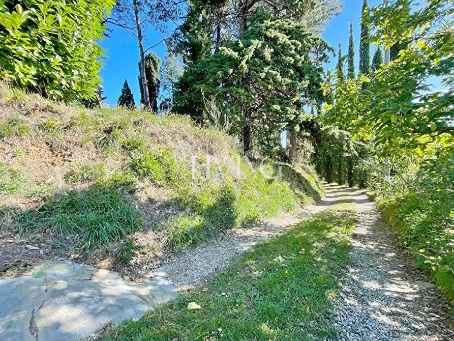 Immagine 60 di Casa colonica in vendita  a Lucca
