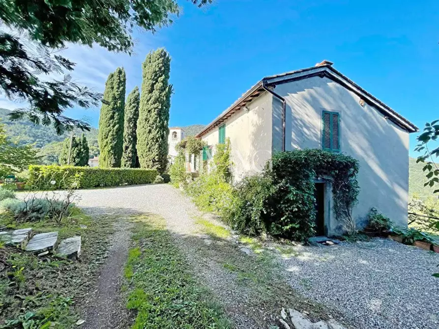 Immagine 50 di Casa colonica in vendita  a Lucca