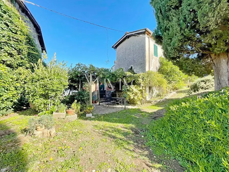 Immagine 45 di Casa colonica in vendita  a Lucca