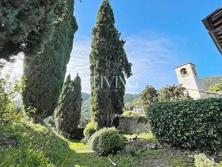 Immagine 42 di Casa colonica in vendita  a Lucca