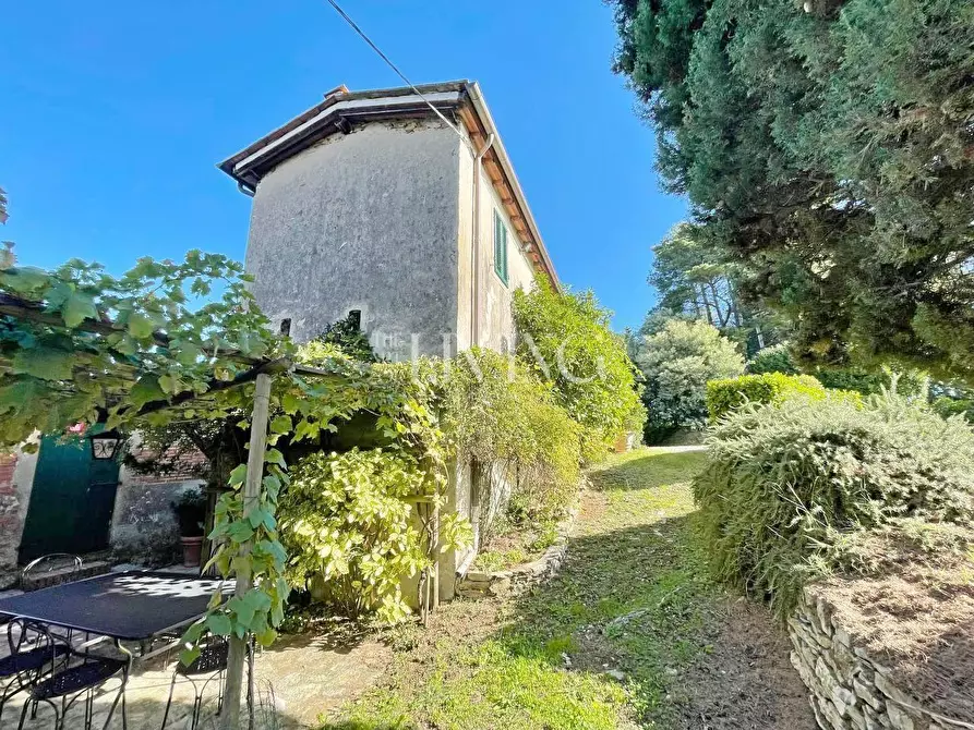 Immagine 43 di Casa colonica in vendita  a Lucca