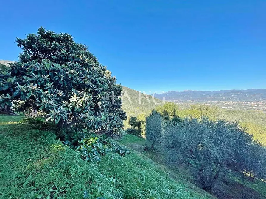 Immagine 52 di Casa colonica in vendita  a Lucca