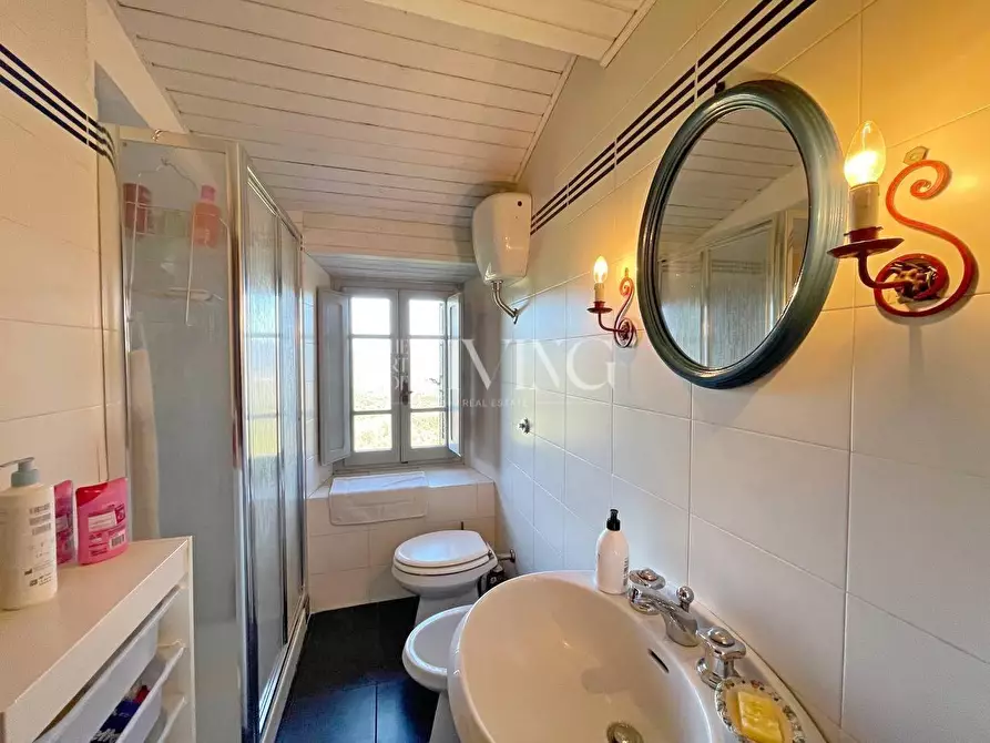 Immagine 26 di Casa colonica in vendita  a Lucca