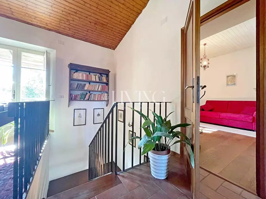 Immagine 20 di Casa colonica in vendita  a Lucca