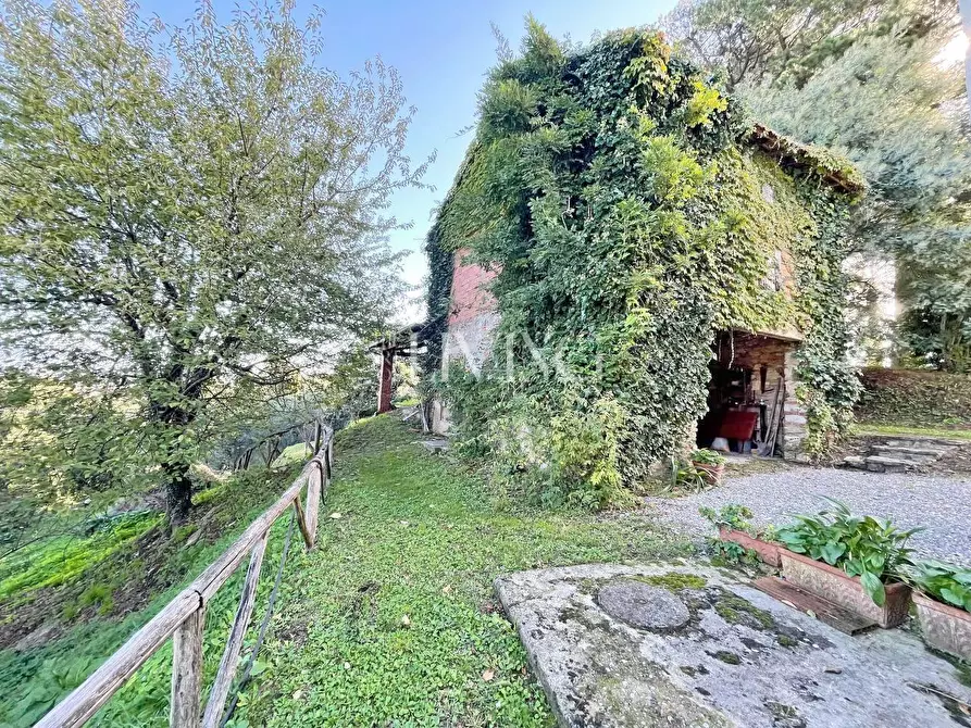 Immagine 51 di Casa colonica in vendita  a Lucca