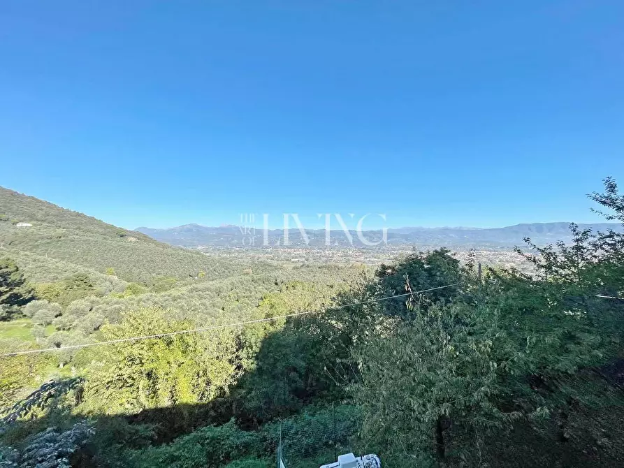 Immagine 17 di Casa colonica in vendita  a Lucca