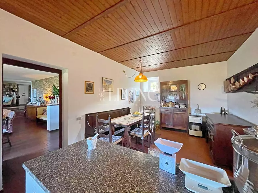 Immagine 11 di Casa colonica in vendita  a Lucca