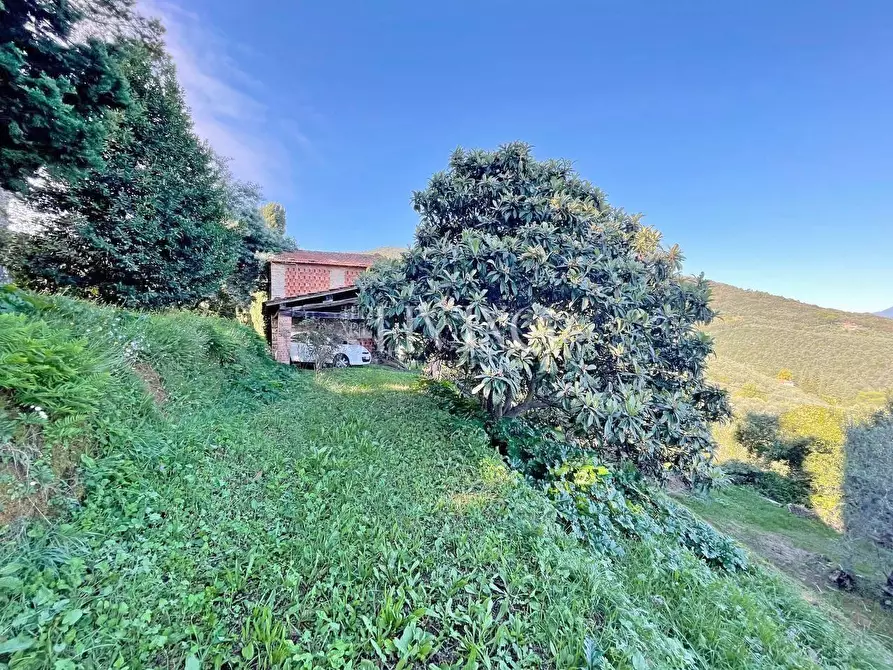 Immagine 53 di Casa colonica in vendita  a Lucca