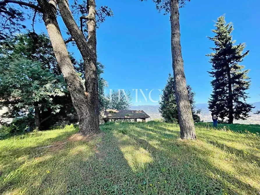 Immagine 58 di Casa colonica in vendita  a Lucca