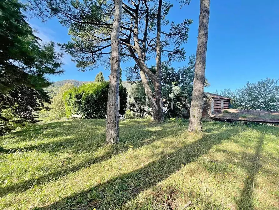 Immagine 57 di Casa colonica in vendita  a Lucca