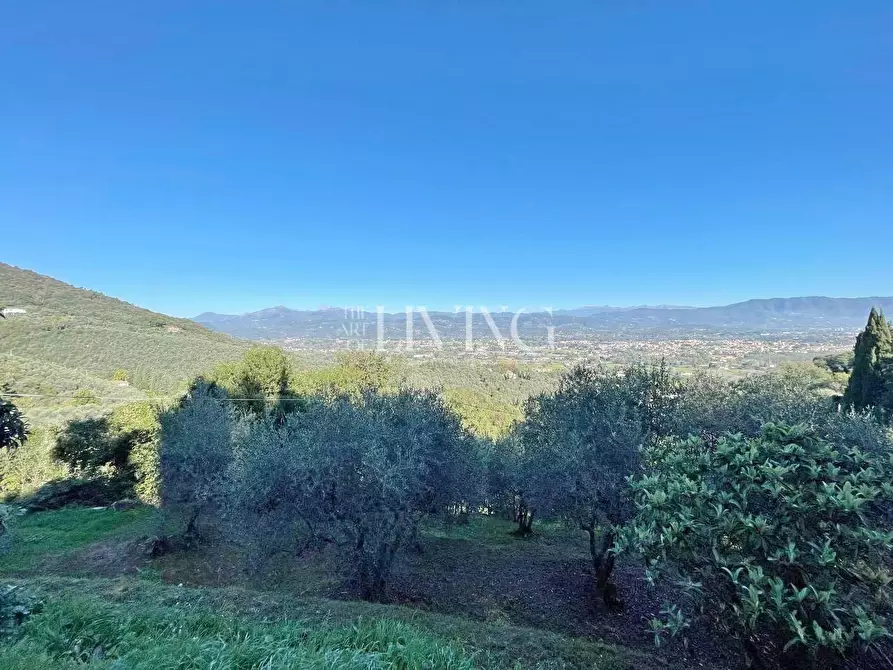 Immagine 56 di Casa colonica in vendita  a Lucca