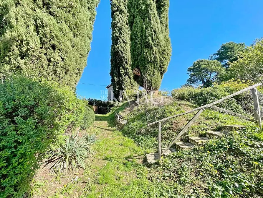 Immagine 46 di Casa colonica in vendita  a Lucca