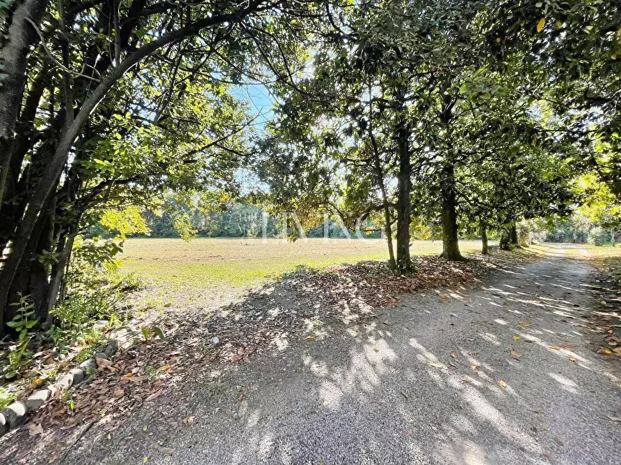 Immagine 33 di Villa in vendita  a Capannori