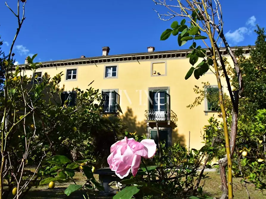 Immagine 54 di Villa in vendita  a Capannori