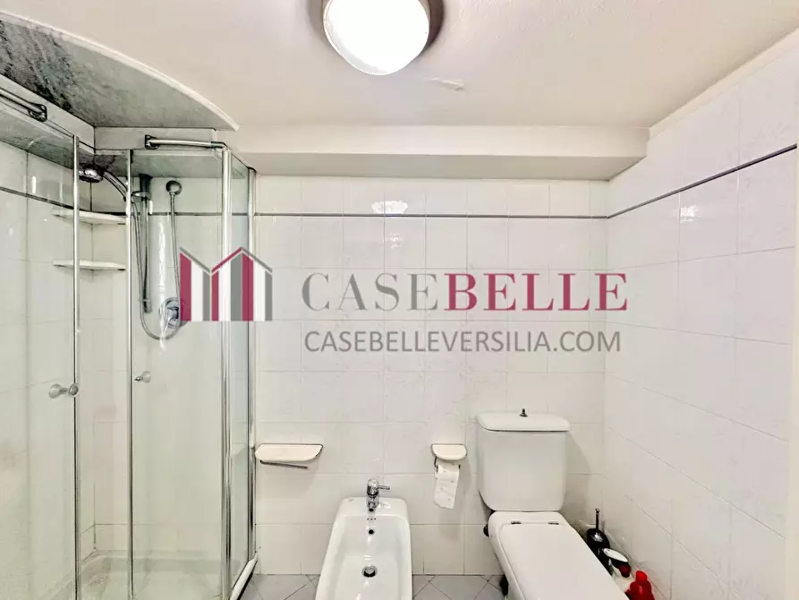 Immagine 34 di Casa bifamiliare in vendita  a Camaiore