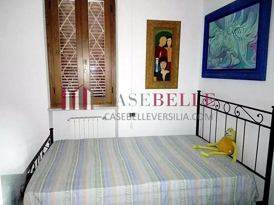 Immagine 8 di Villa in vendita  a Forte Dei Marmi