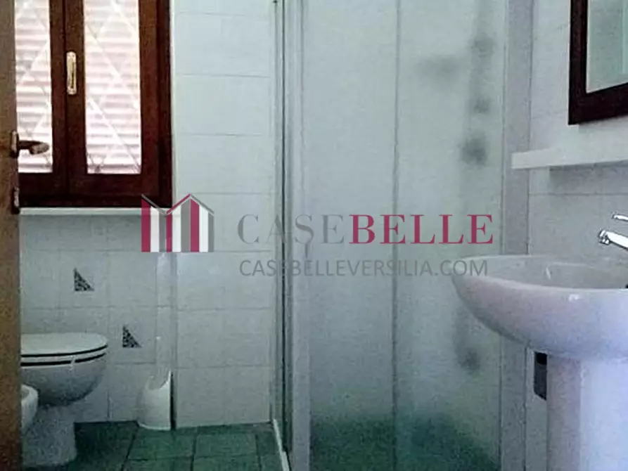 Immagine 6 di Villa in vendita  a Forte Dei Marmi