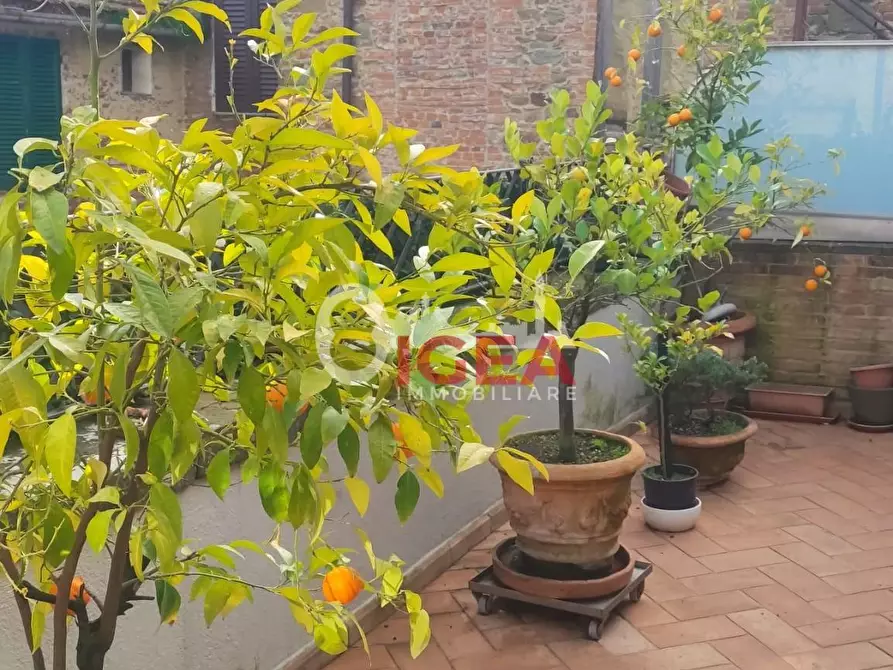 Immagine 18 di Appartamento in vendita  a Sinalunga