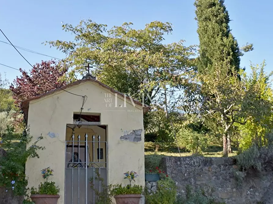 Immagine 39 di Casa colonica in vendita  a Lucca