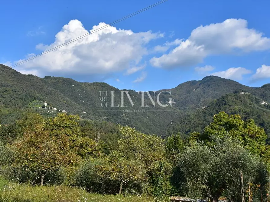 Immagine 3 di Casa colonica in vendita  a Lucca