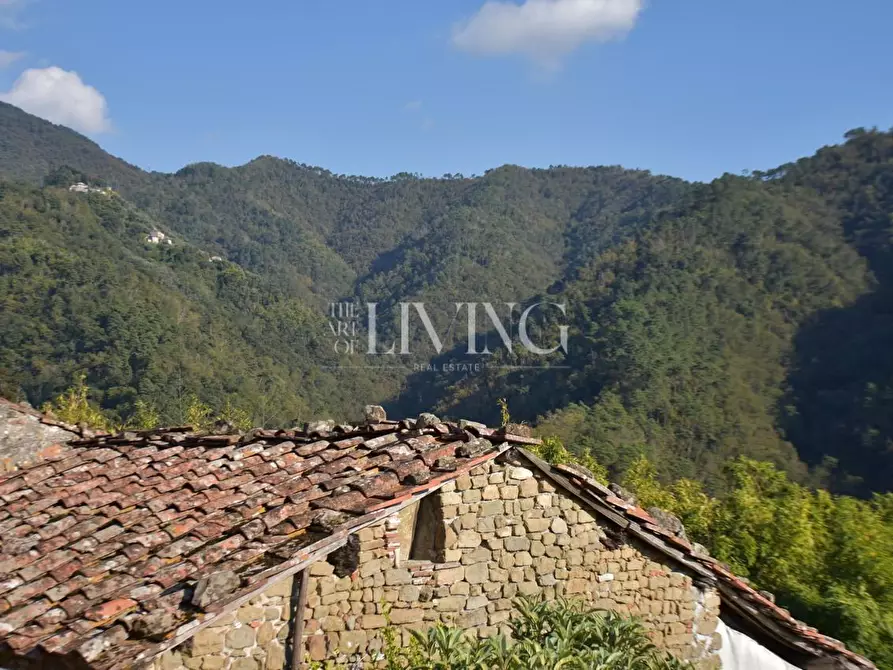 Immagine 37 di Casa colonica in vendita  a Lucca