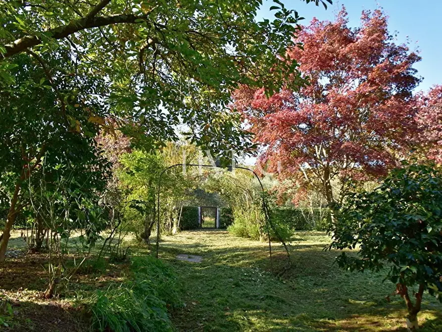Immagine 31 di Casa colonica in vendita  a Lucca