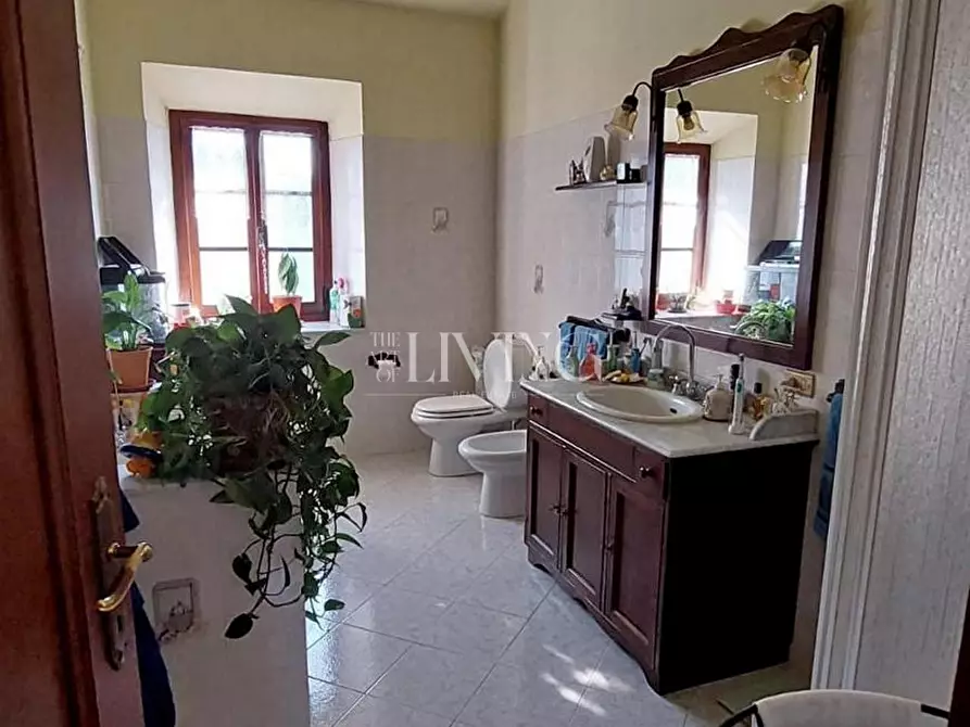 Immagine 21 di Casa colonica in vendita  a Lucca
