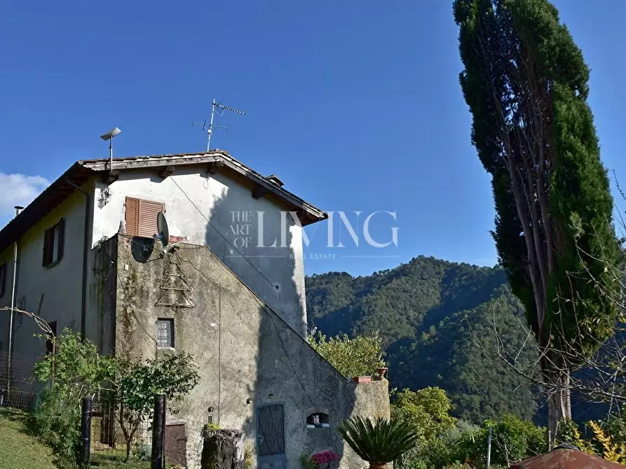 Immagine 15 di Casa colonica in vendita  a Lucca