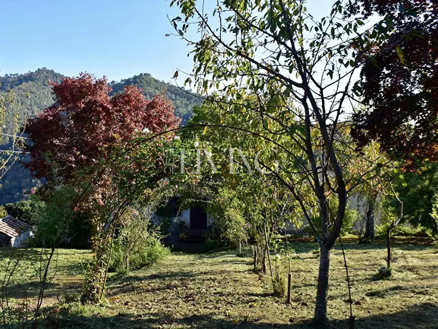 Immagine 29 di Casa colonica in vendita  a Lucca