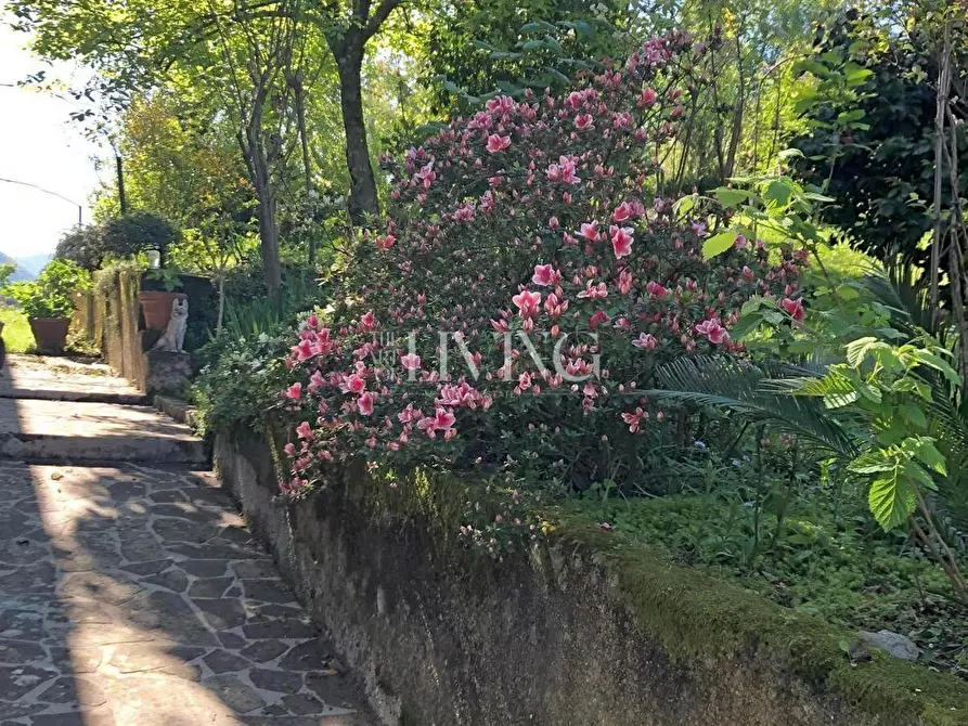Immagine 33 di Casa colonica in vendita  a Lucca