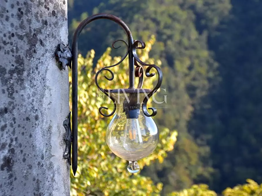 Immagine 16 di Casa colonica in vendita  a Lucca