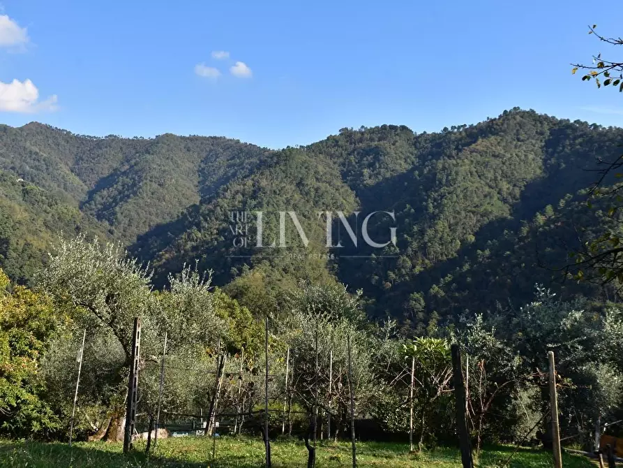Immagine 27 di Casa colonica in vendita  a Lucca