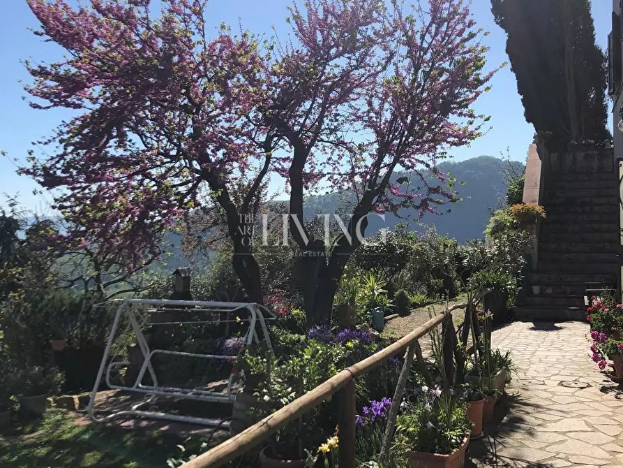 Immagine 35 di Casa colonica in vendita  a Lucca