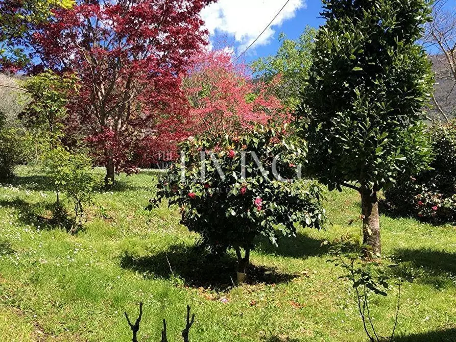 Immagine 32 di Casa colonica in vendita  a Lucca