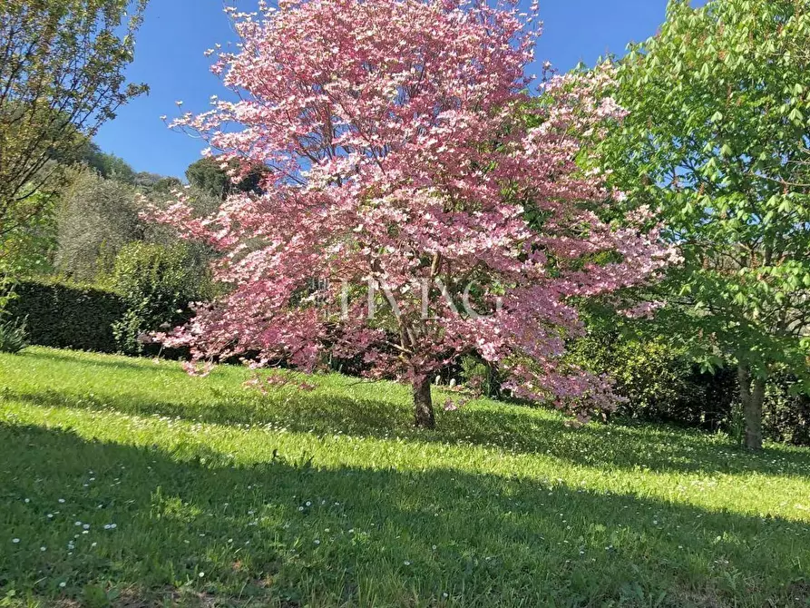 Immagine 38 di Casa colonica in vendita  a Lucca
